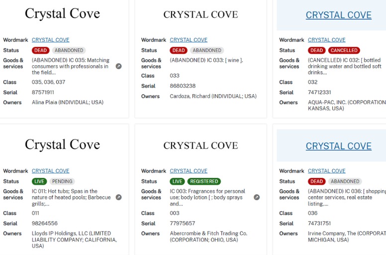 trademark-business-names-registered-etsy-jewelry-shop-name-ideas